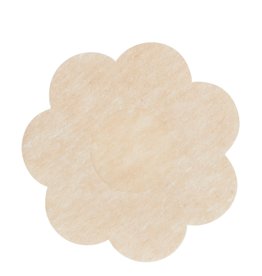 Secret Weapons Disposable nipple covers