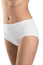 Hanro Hanro Cotton Seamless Maxi Briefs H125