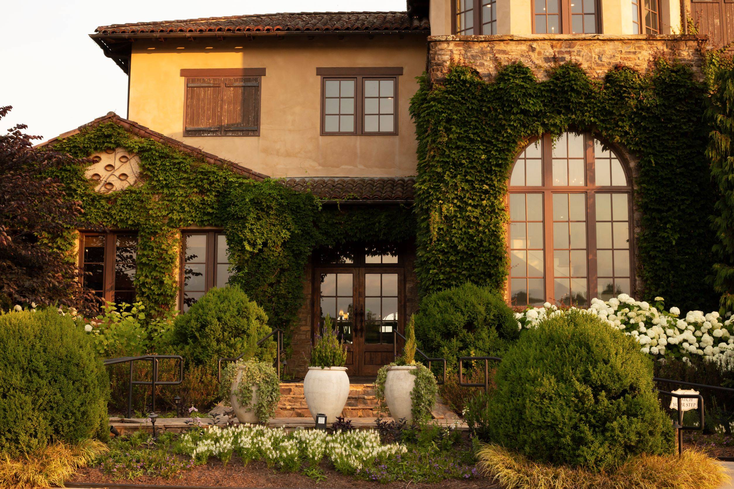 More than Just a Vineyard...