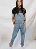 Free People Ziggy Denim Overall