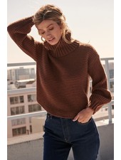 Tonya Turtle Neck Sweater | Brown
