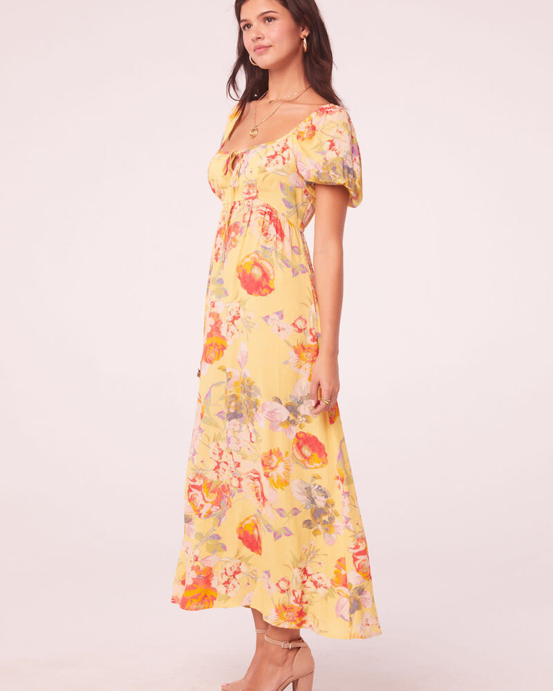 Dayflower Maxi Dress