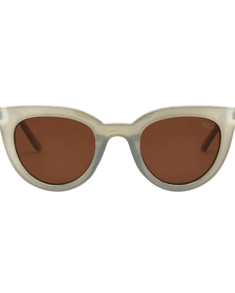 Canyon | Cactus  / Brown Polarized