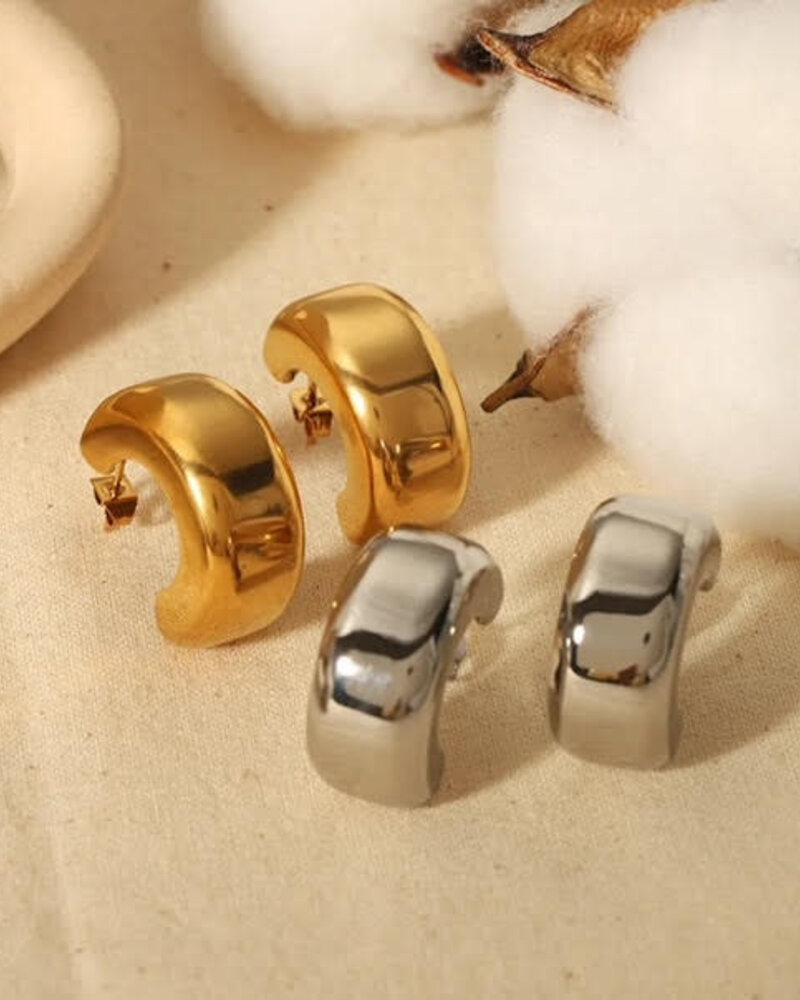 Dianna Earring | Silver