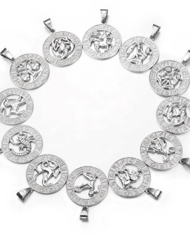 Casting Zodiac Necklace | Silver