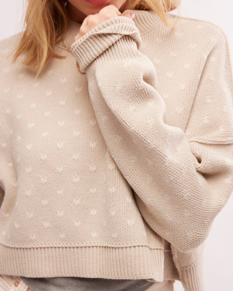 Free People Easy Street Crop Pullover | Oatmeal Pattern