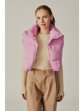 Forsythia Puffer | Pink