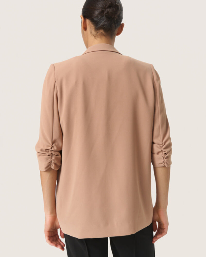 Shirley Blazer | Burro