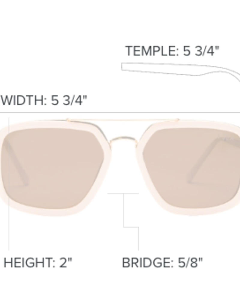 Cruz | Black  / Brown Polarized