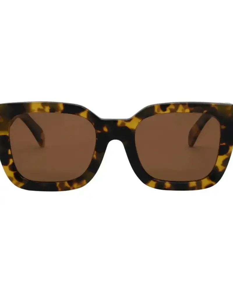 Alden | Tort Polarized
