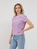 Paris Tee | Powder Pink