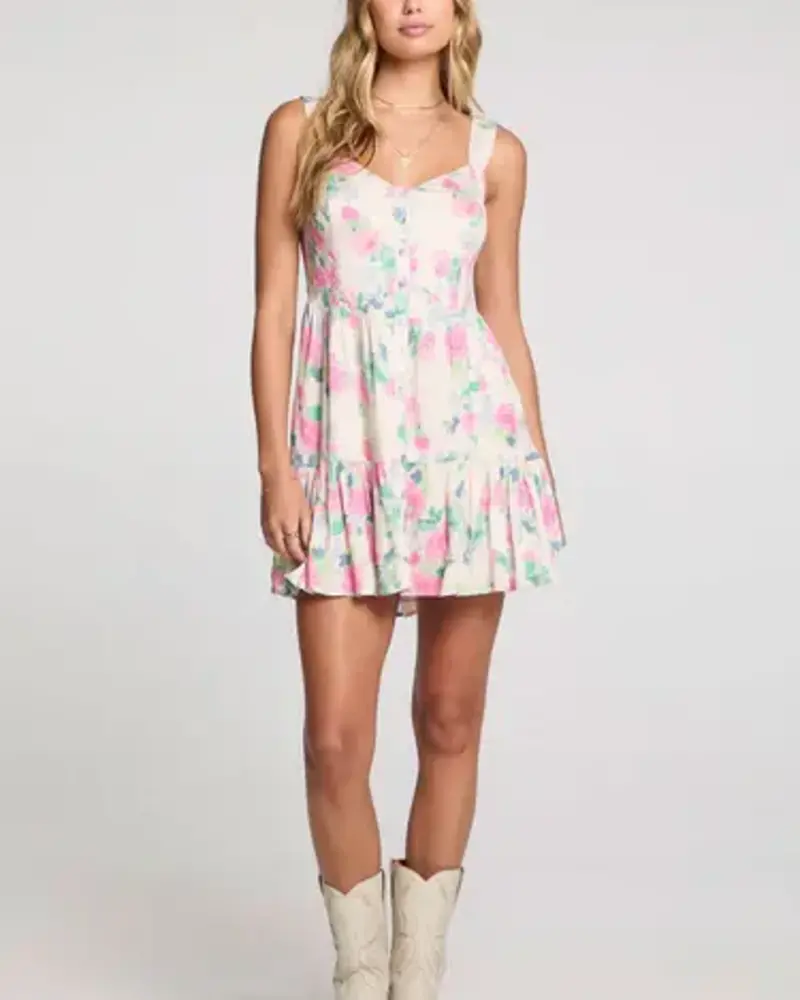 Salt Water Lux Indygo Mini Dress