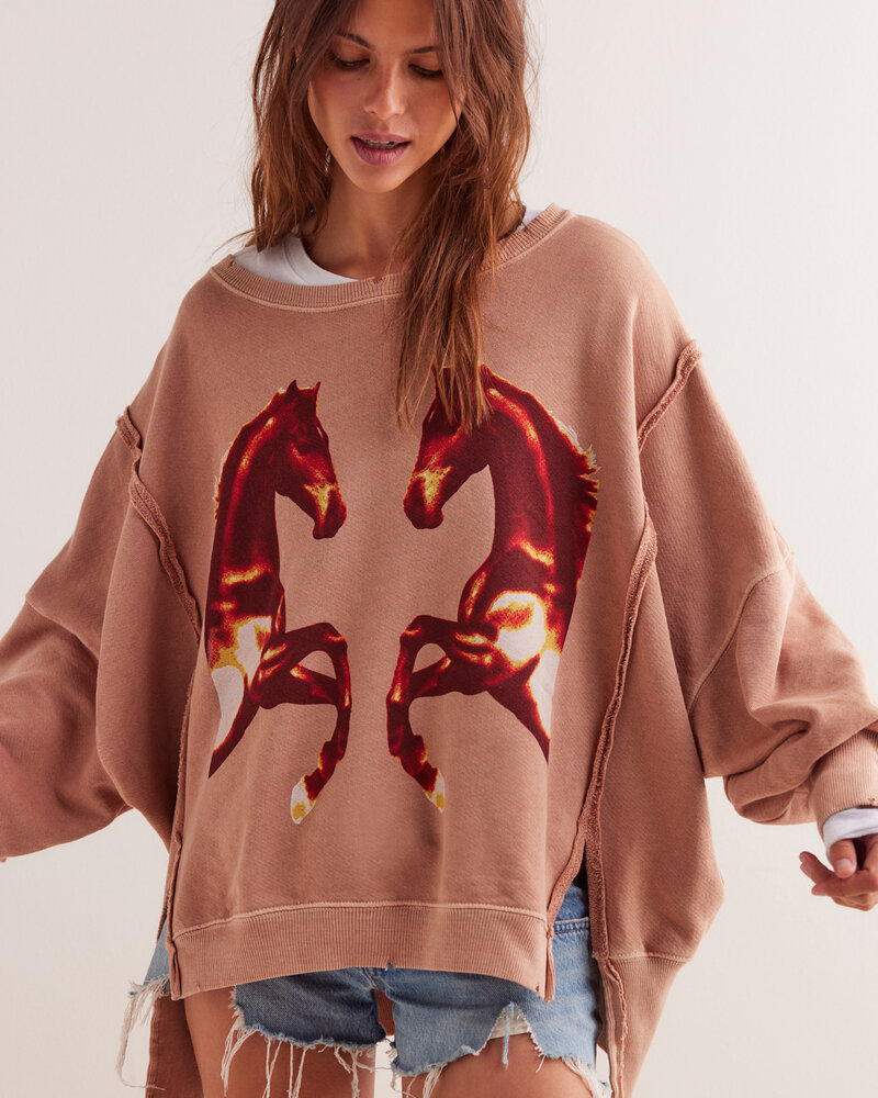 Free People Graphic Camden Pullover | Mirrored Horses