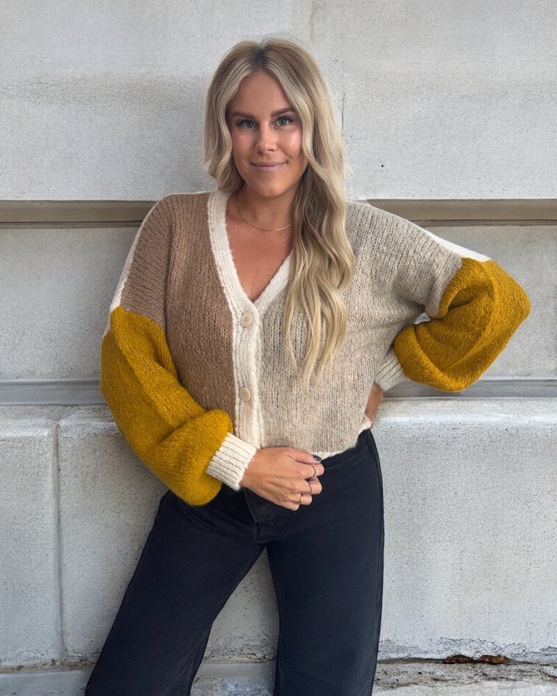 Astrid Carrie Knit Cardigan | Tabac Combo