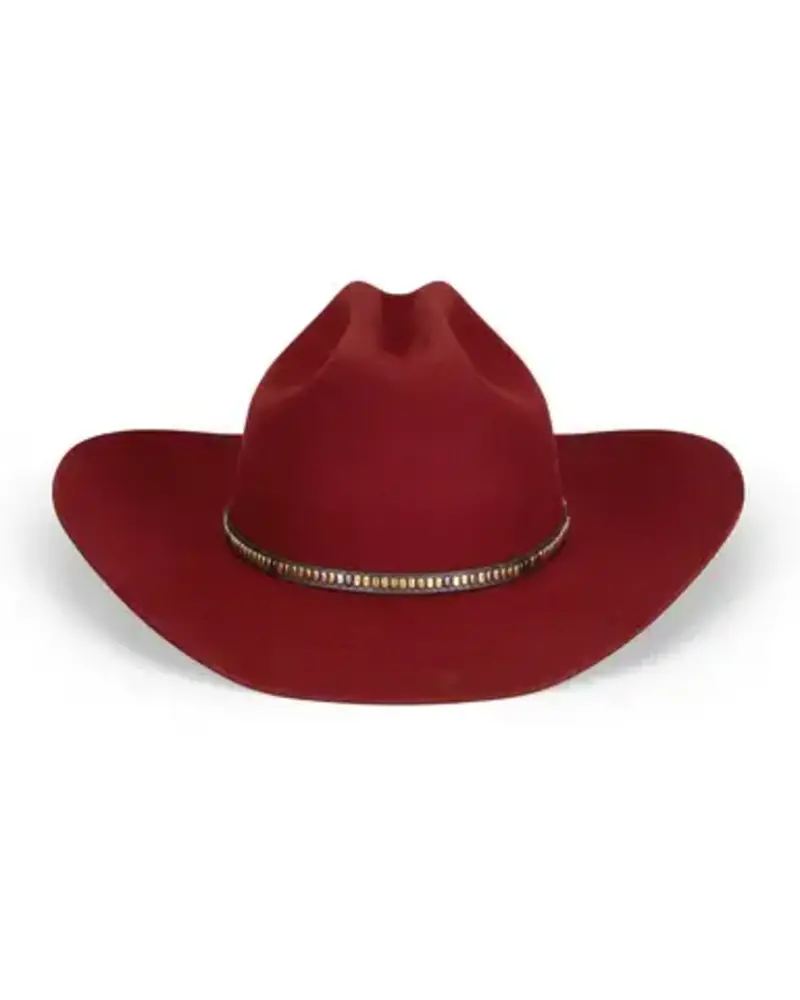 The Ridge Special | Merlot