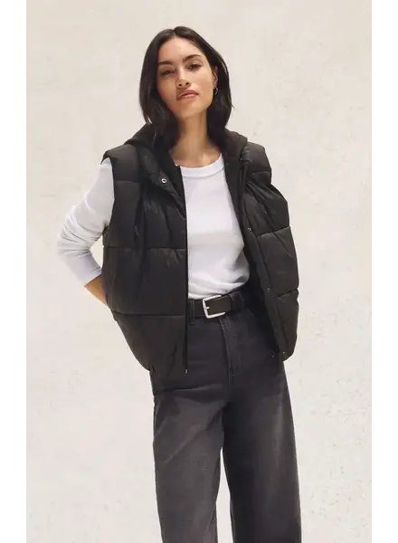 Z Supply Essential Puffer Vest