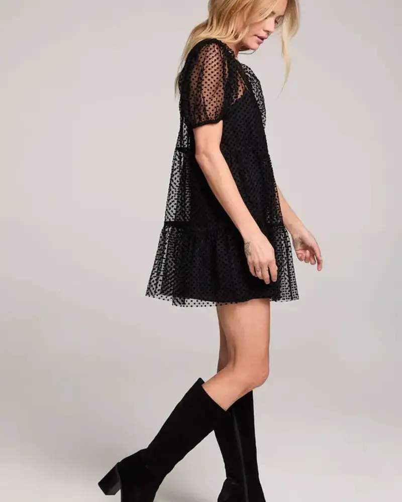 Salt Water Lux Yaz Mini Dress