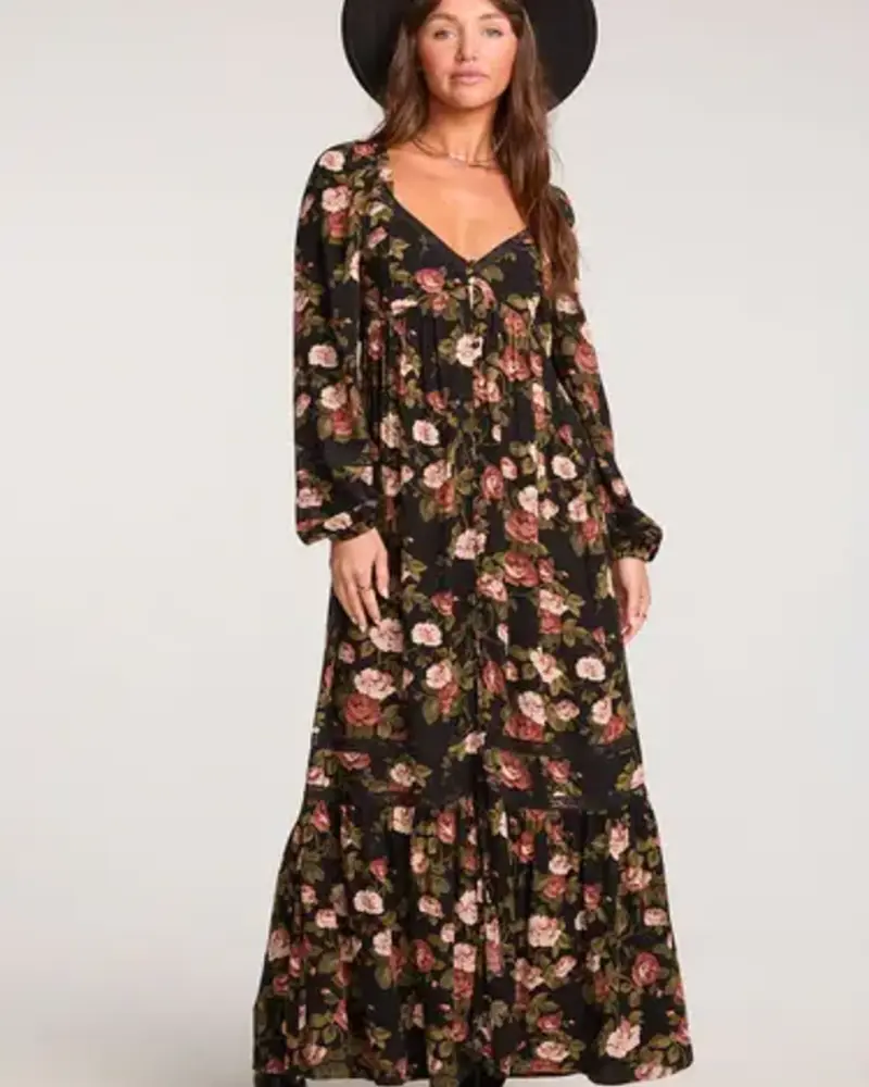 Salt Water Lux Tammie Multicolored Maxi Dress