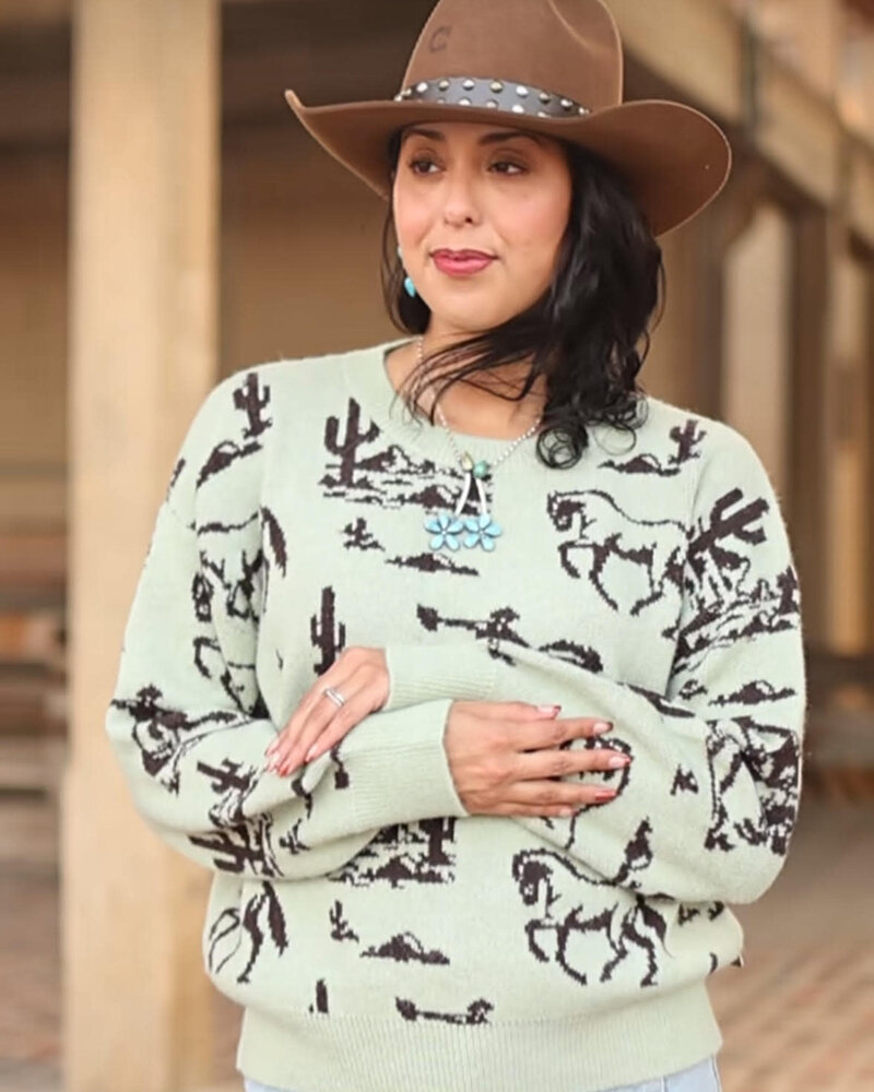 Western Desert Sweater