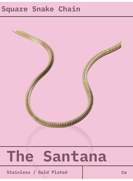 Santana Square Snack Necklace