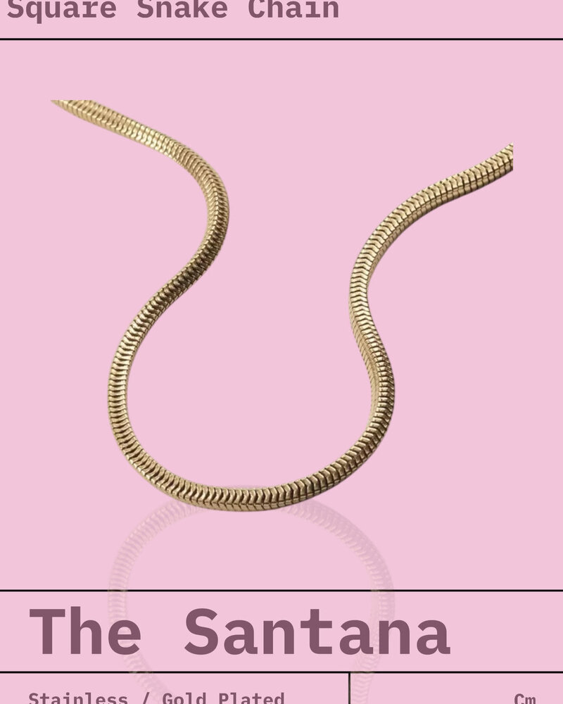 Santana Square Snack Necklace