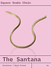 Santana Square Snack Necklace
