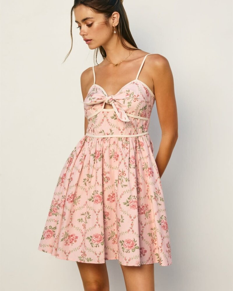 Cottage Charm Mini Dress