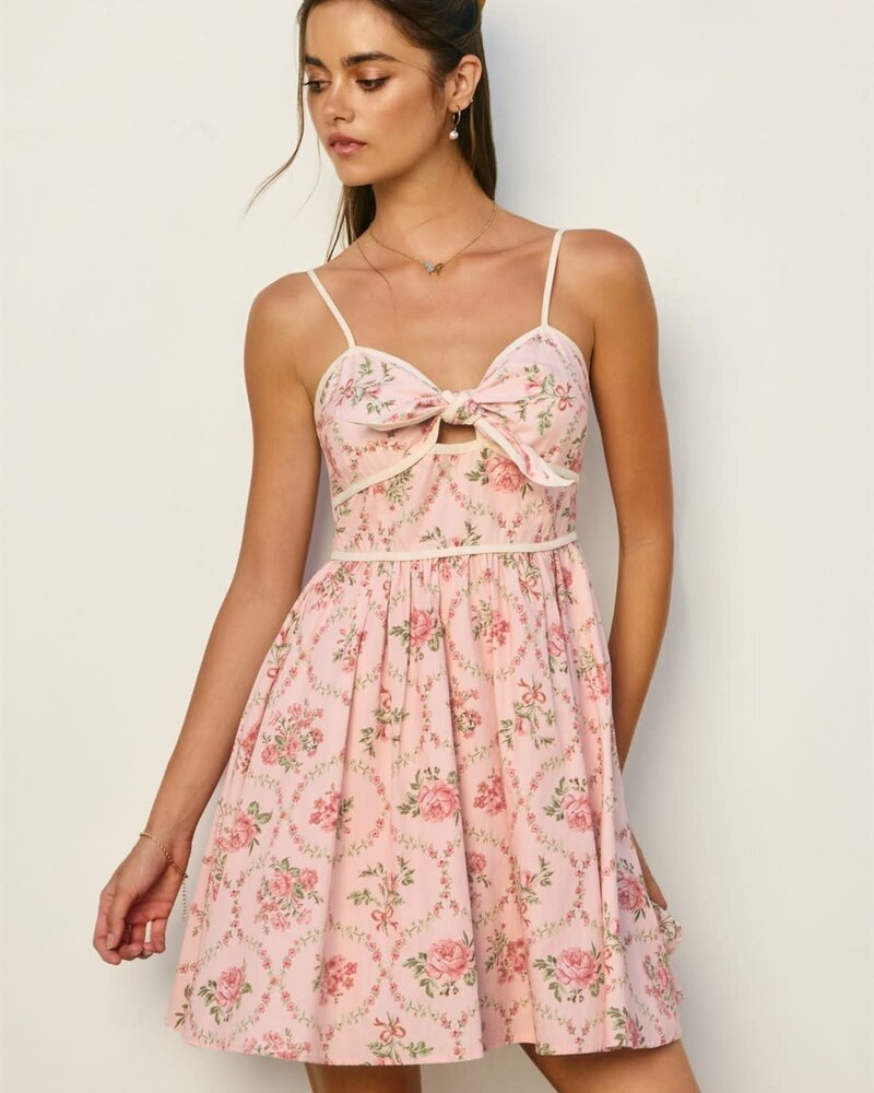 Cottage Charm Mini Dress