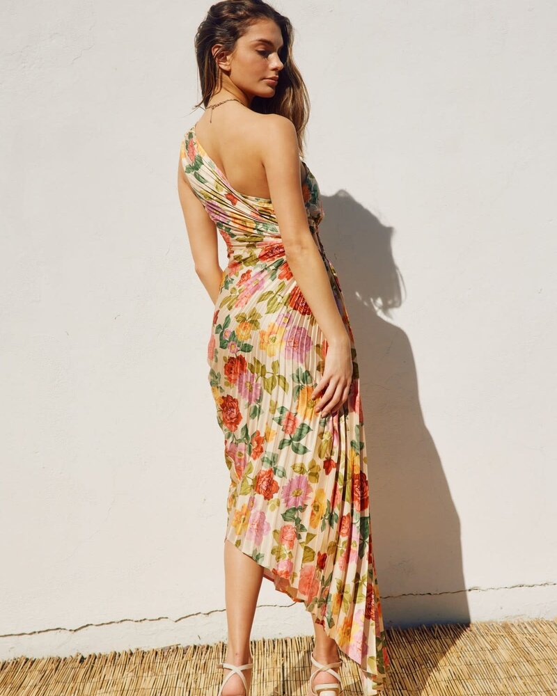Garden Asymmetrical Pleated Maxi Dress