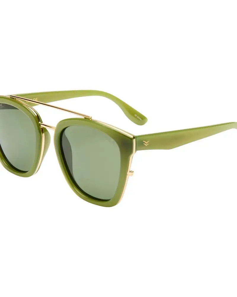 Chloe | Moss Polarized