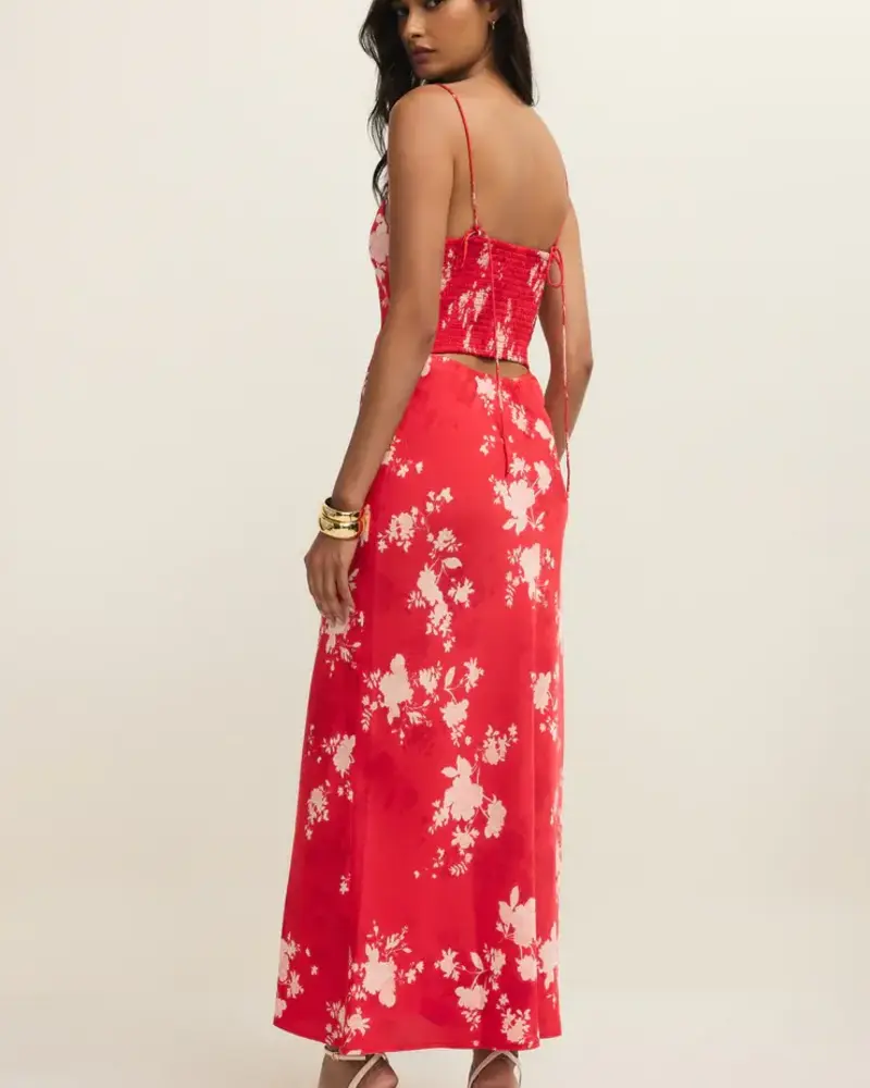 Z Supply Alyse Darya Floral Maxi Dress