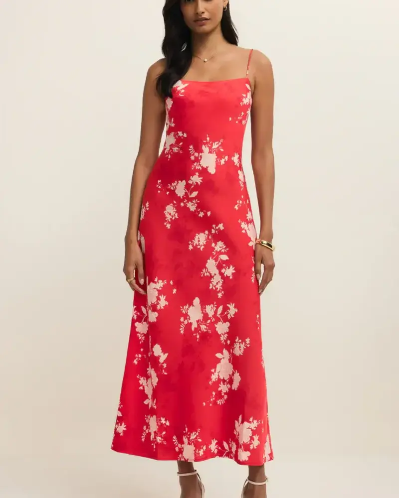 Z Supply Alyse Darya Floral Maxi Dress