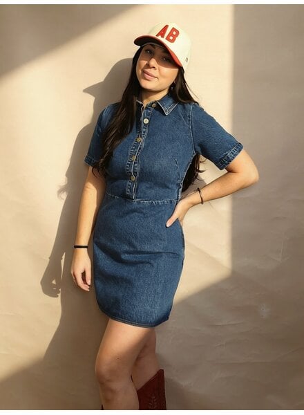 Cornillia Denim Dress
