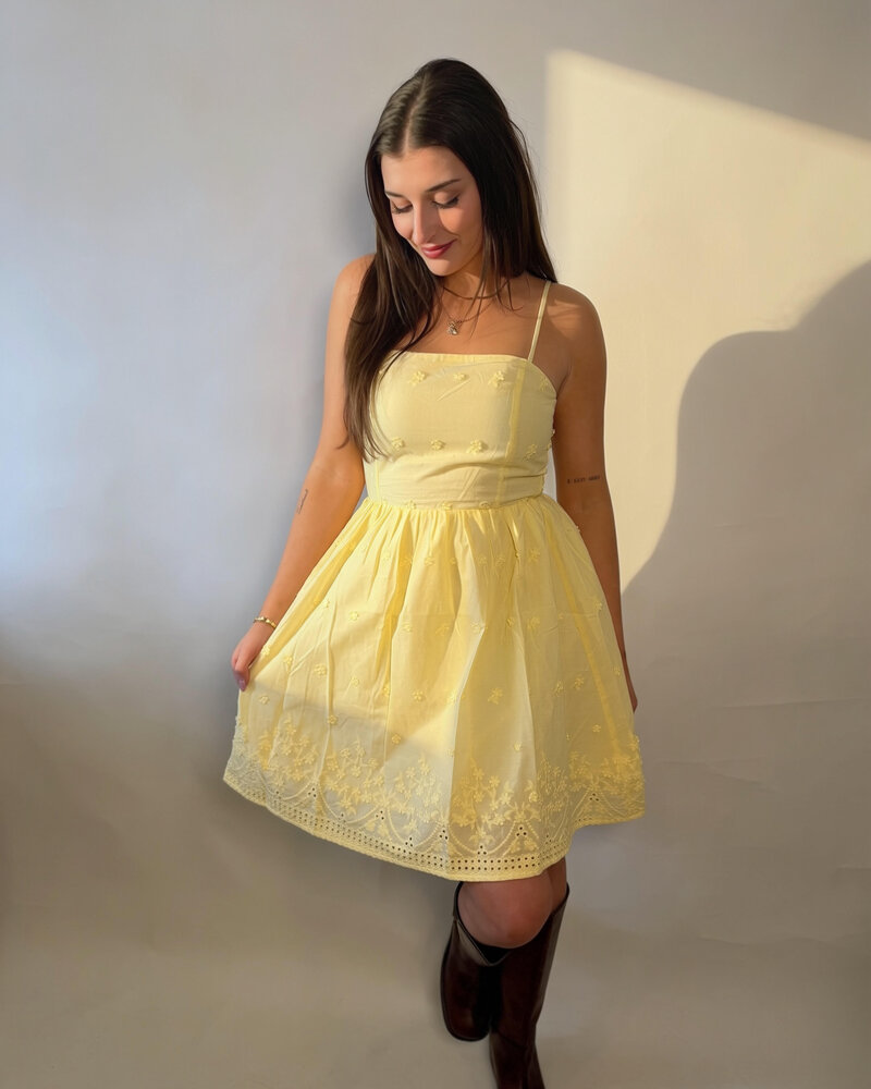 Butter Yellow Embroidered Dress