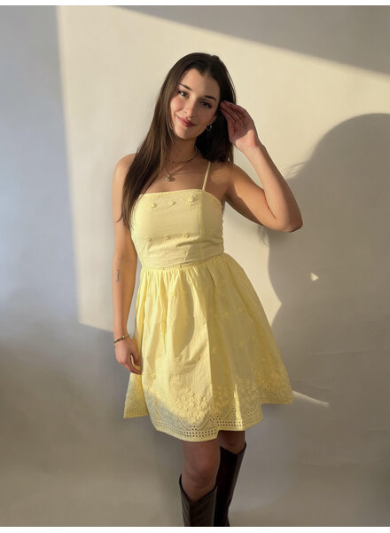 Butter Yellow Embroidered Dress