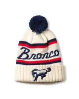 Pillow Line Beanie | Ford Bronco