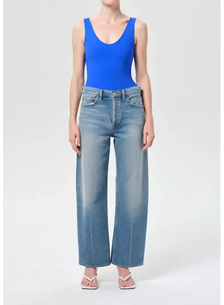 AGOLDE The Arc Jean | Brink