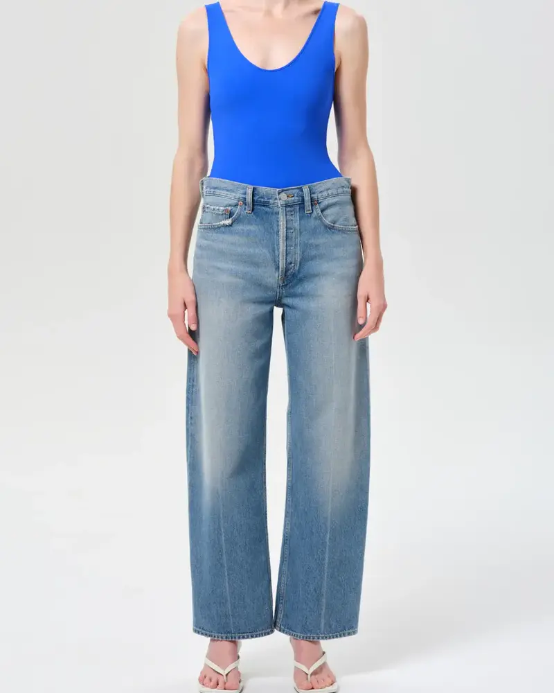 AGOLDE The Arc Jean | Brink