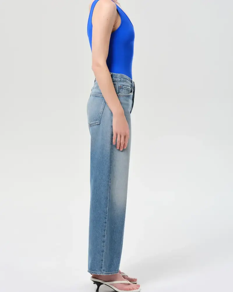 AGOLDE The Arc Jean | Brink