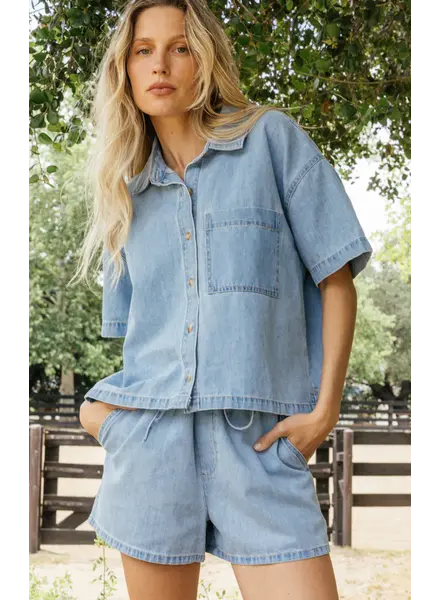 Z Supply Everyday Denim Button Up