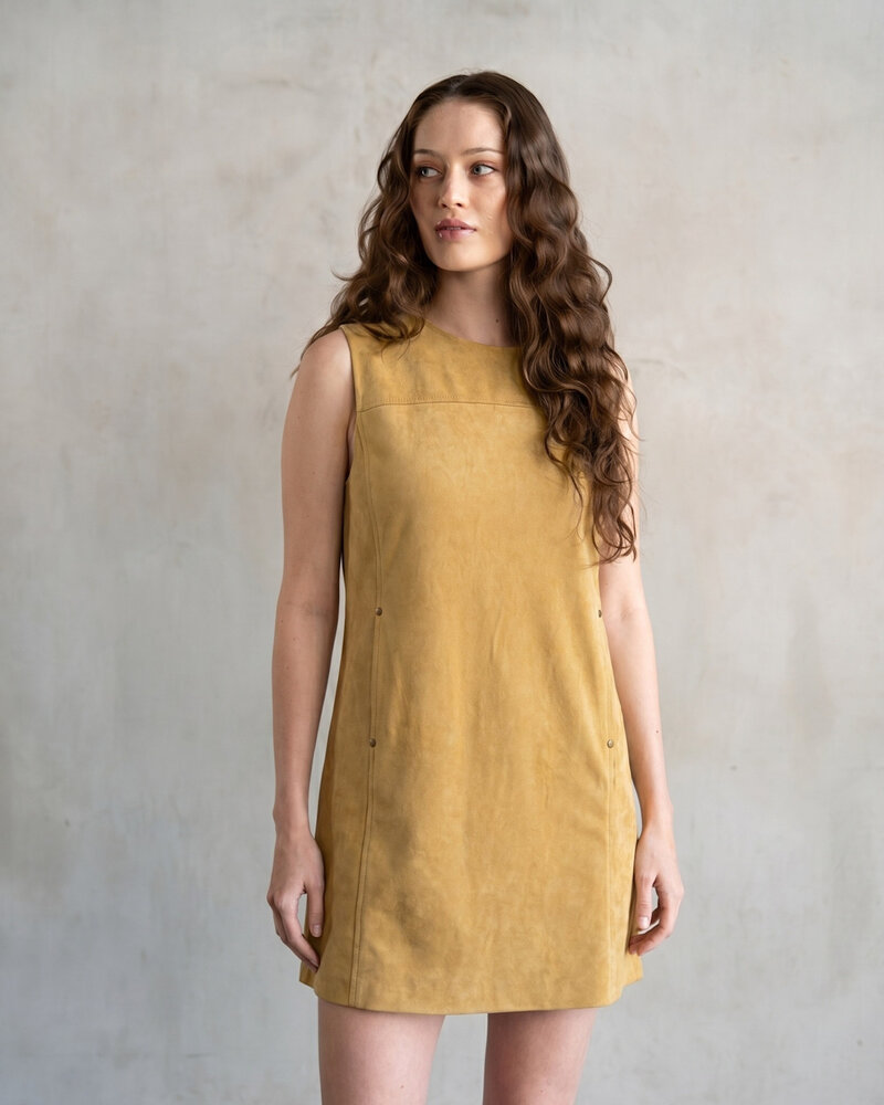 Secci Suede Mini Dress