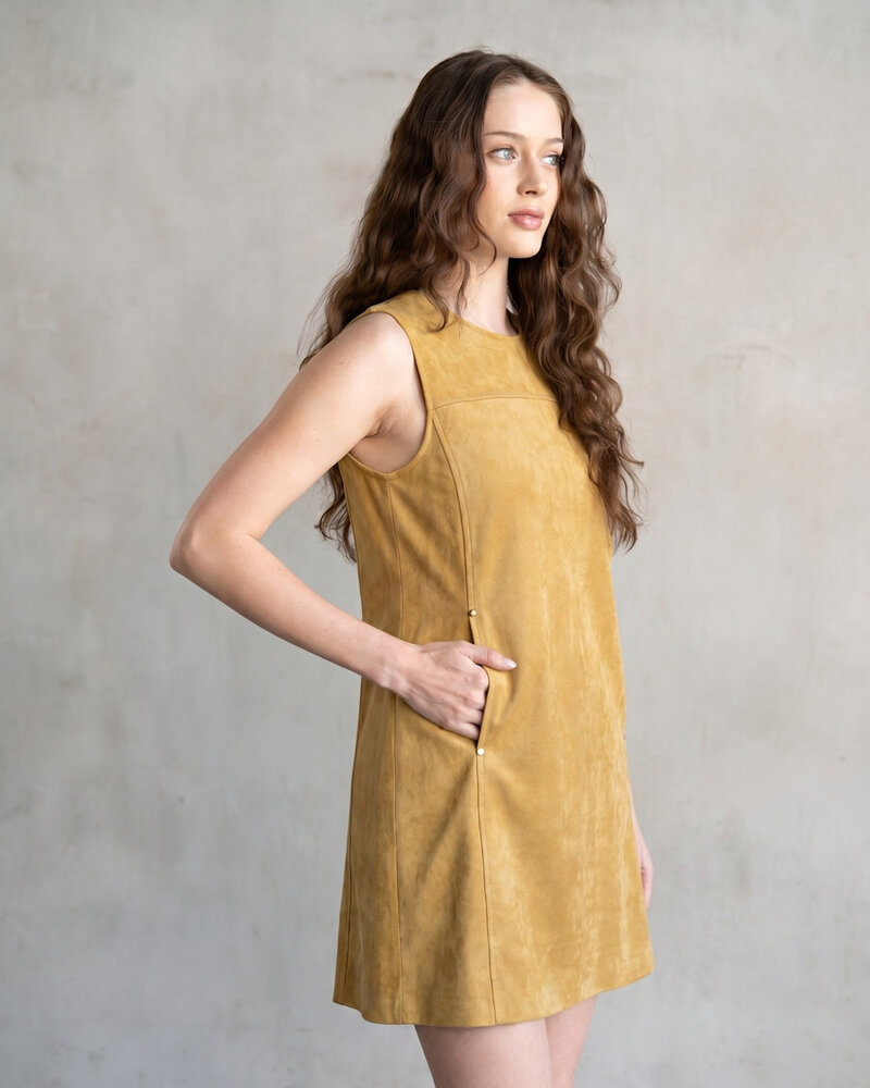 Secci Suede Mini Dress