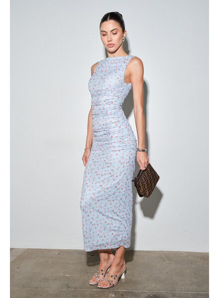 Miranda Mesh Maxi Dress