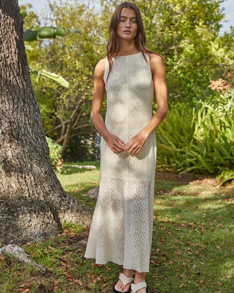 Lulian Floral Lace Dress