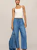 Z Supply Sidelines Denim Track Pant