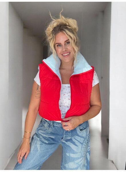 Gallagher Reversible Vest