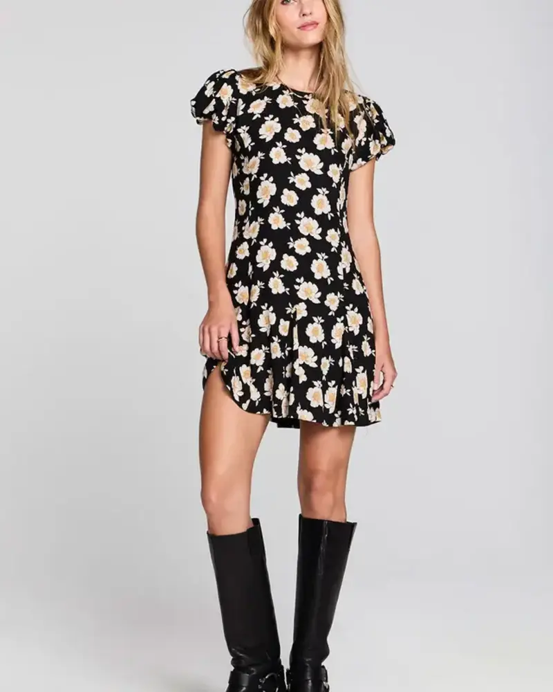 Salt Water Lux Raleigh Mini Dress