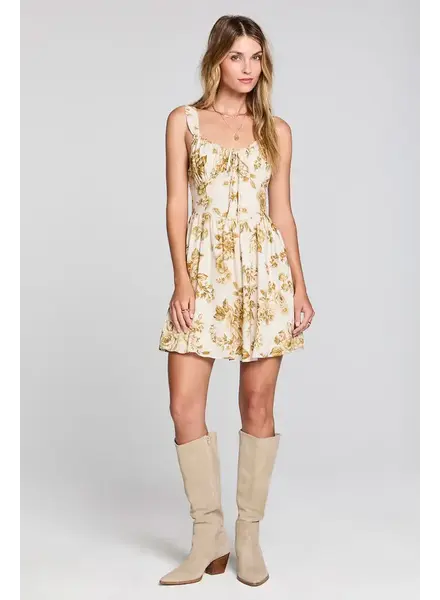 Salt Water Lux Gracee Mini Dress