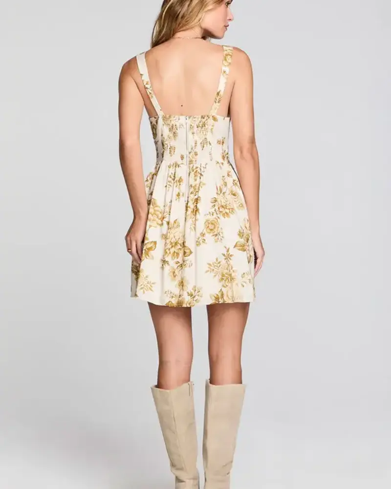 Salt Water Lux Gracee Mini Dress