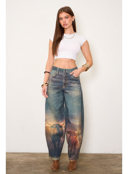 Kindle Barrel Jean | Long Horn Print